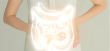 腸を健康に保つ